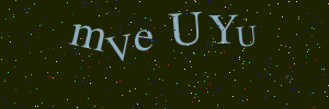 Validation image