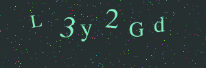 Validation image